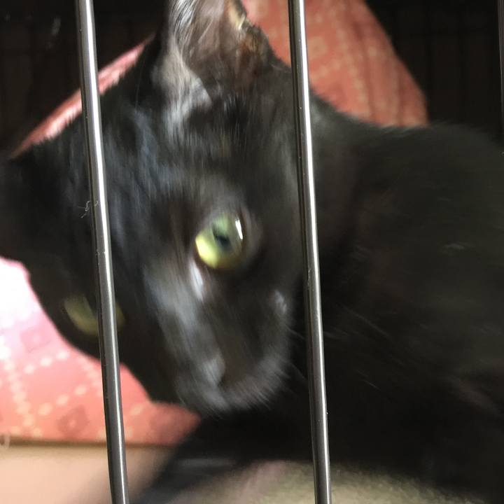 80203aa1 0304 47e9 8820 c66cd9e75112