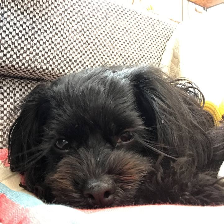 80203b21 a243 4ae9 b8dd 126f3e58f7de