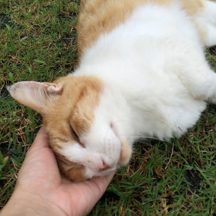 802053c9 29a2 46c6 9a55 1142bf336551