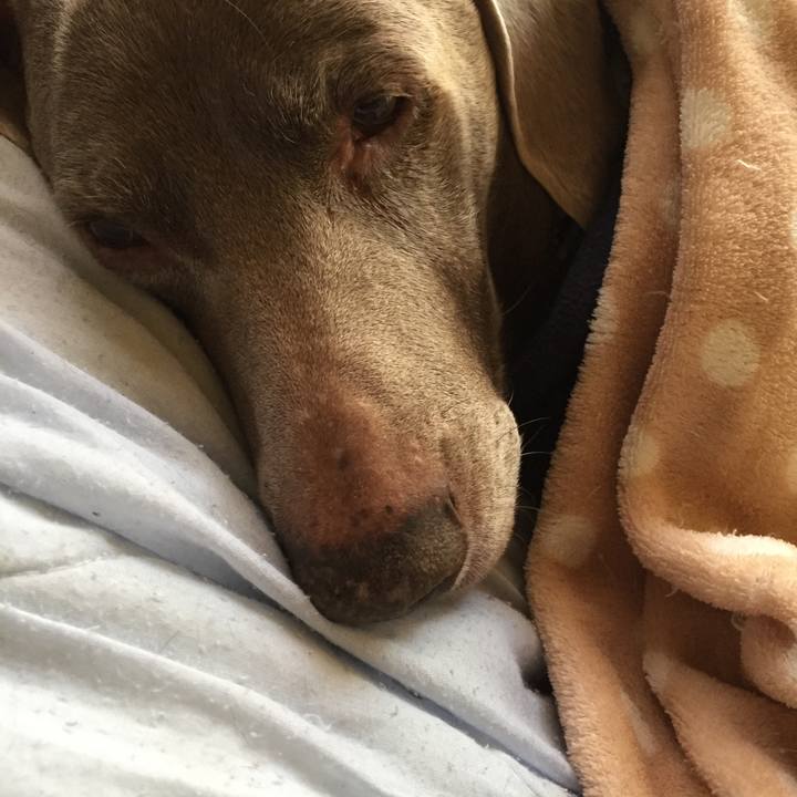 8020d528 a733 4c61 bddf 8d13ffa228cd