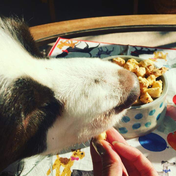 8021388a 0b1e 415b bac5 18b7c7a3d5a1