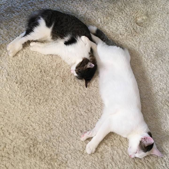 8021a758 af77 4fd5 b1e1 c02df33d100e