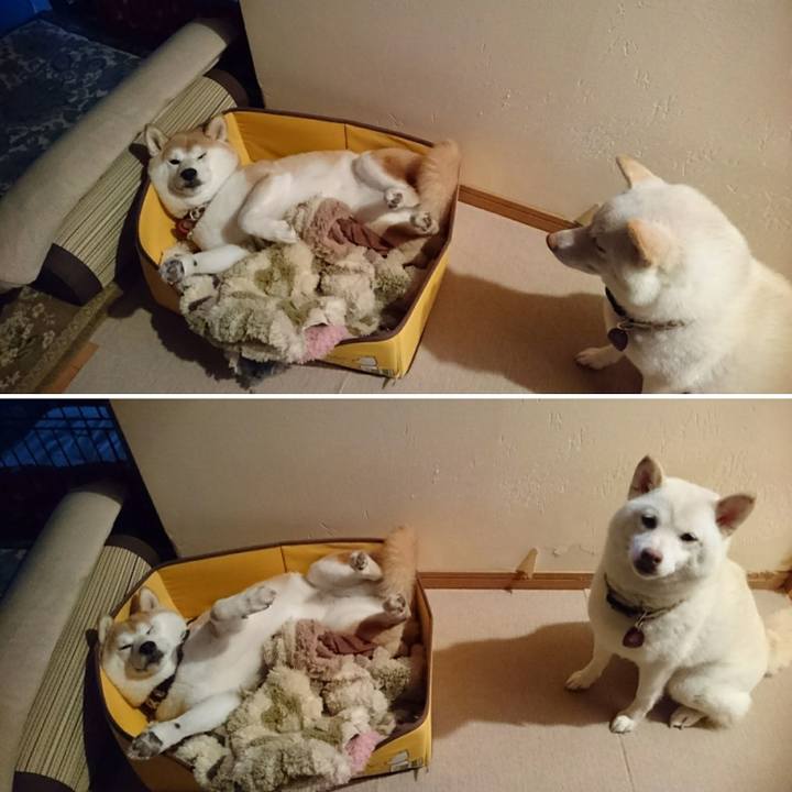 8021ed7e d15f 4c0e ba4c 05b1f48a03eb