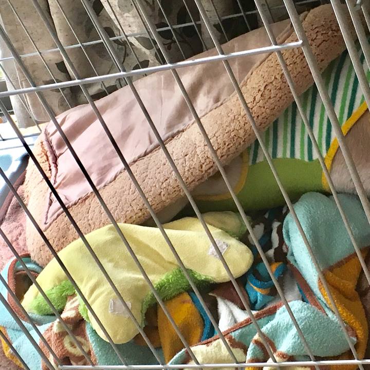 8022de2a 291e 475e a113 f83aa425544d