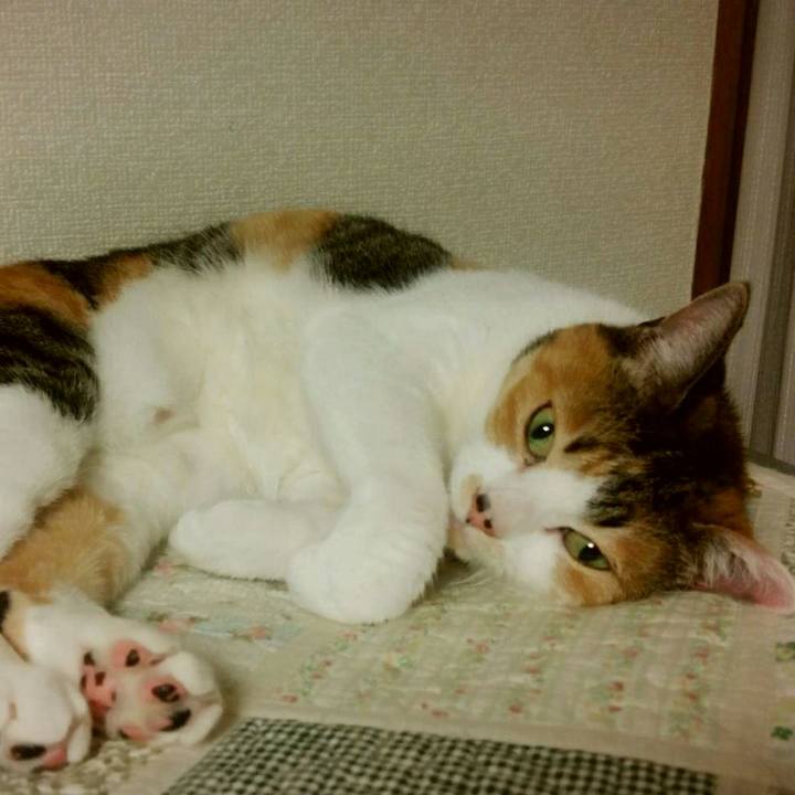 802385a4 36c9 4b1d 8a98 729ed5bedca9