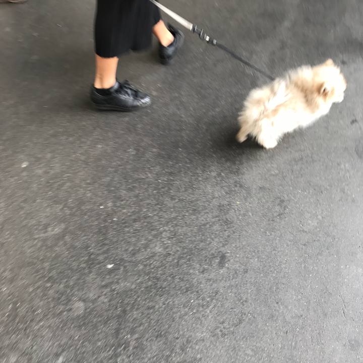 80239f87 23ff 468a b527 8e94b0f3aeb4