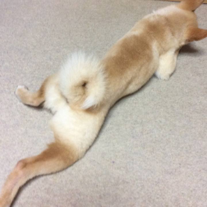 8023da2c 4067 4350 b3ee c9d16a105de6