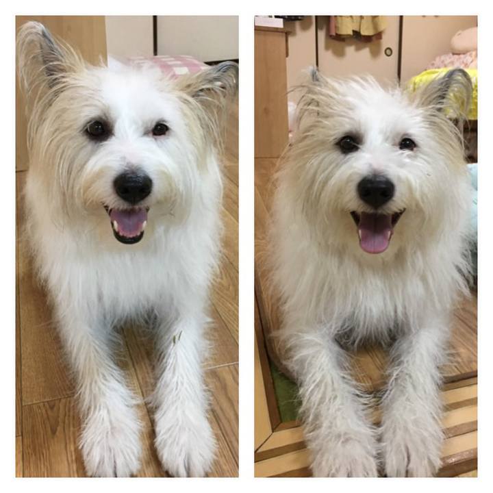 8023ed5e 3d62 42c4 b8f6 840dd7fc9f20