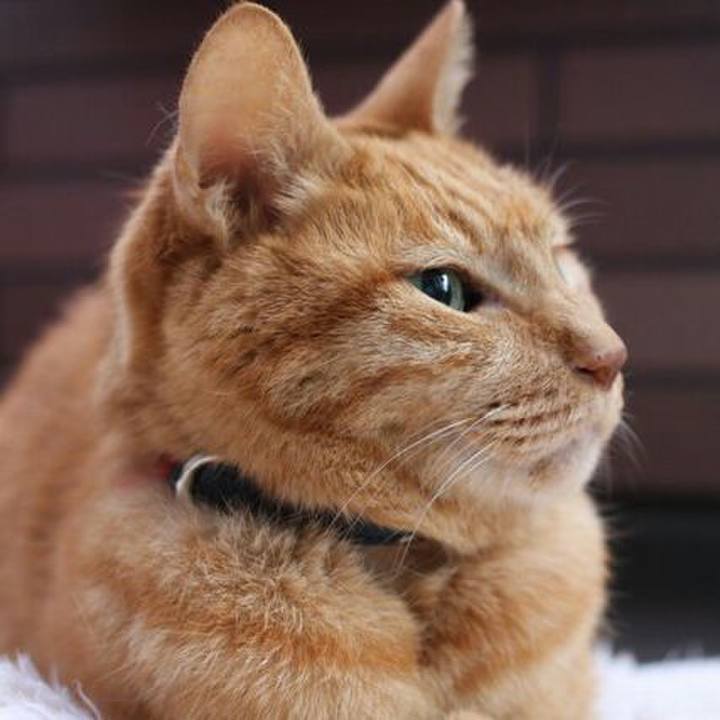 80246d85 7c39 4a0d af3c f8b01092e566