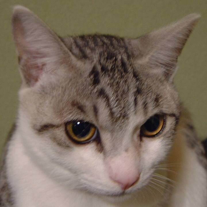 80247774 2f3c 4a3a 9658 73158dde25eb