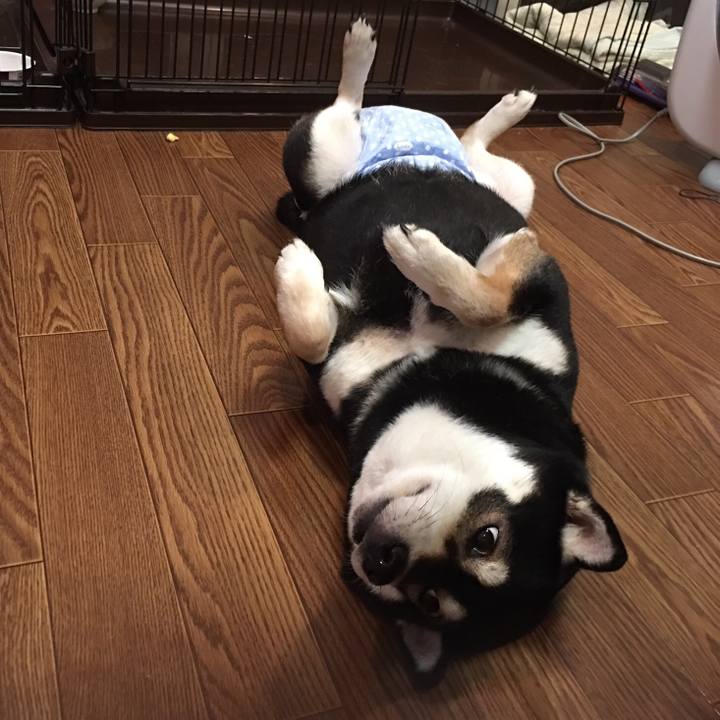 8024c3fd 2e30 4efd bd9f 37c9402c91a8