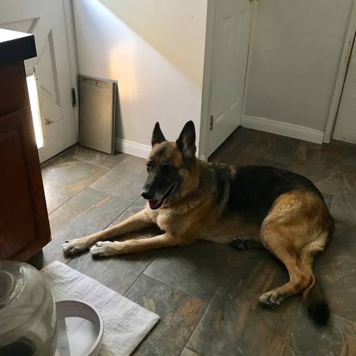 80256fc0 f991 46b9 97d4 f39b62f202ce