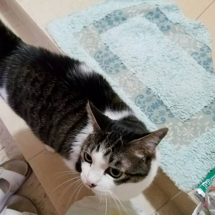 80257e68 9d9f 4ff0 952b decf1d64c8e0