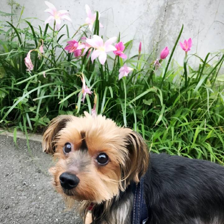 80258562 9f3d 46cd a6a6 749b5db5ab18