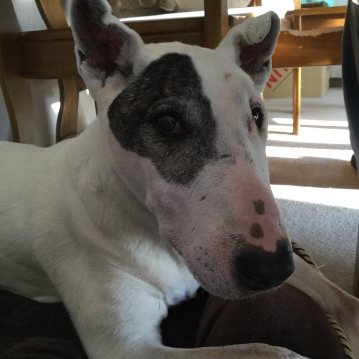 8025ce3d ac51 4f94 8635 017d948d2f51