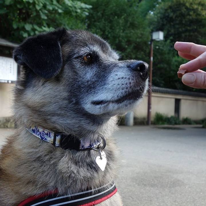 80261c75 60b4 43a7 92a0 096cb2502b99