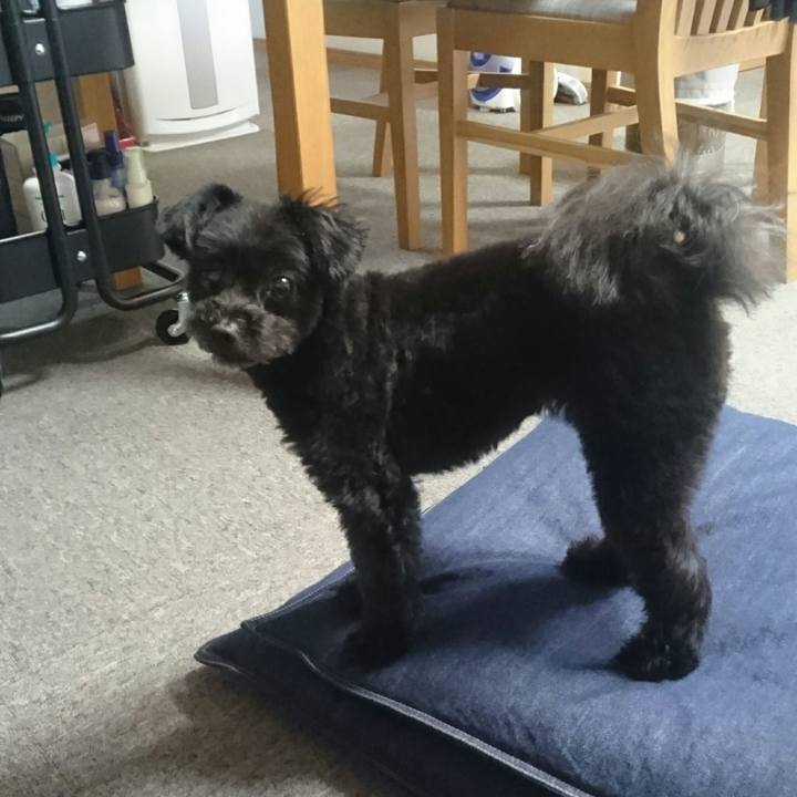 802634bd 26d1 4c5b a7ca b8ad56302f33