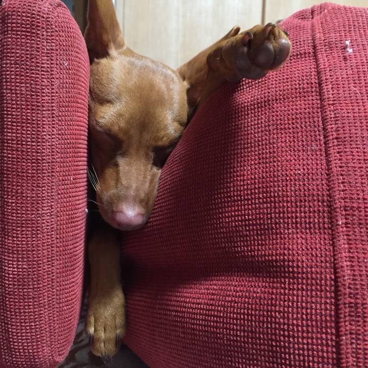 8027b4fc f882 43b1 82c4 0d4a5e7a4fa1