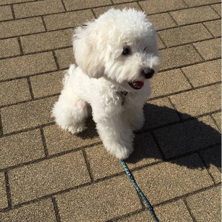 8027f2c7 08c6 4a4d a39b 3590e6c50a57