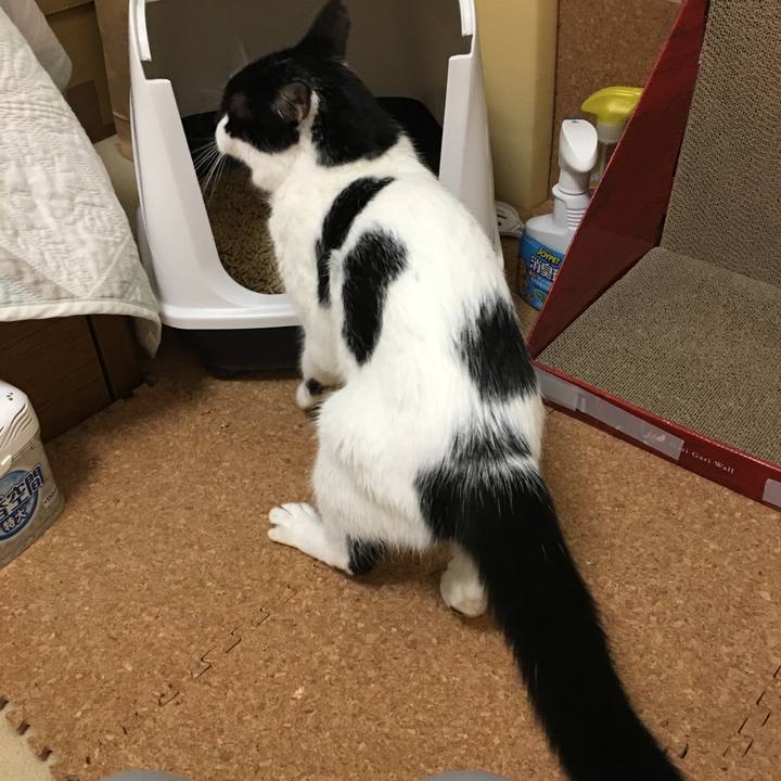 80284e3e 4644 4524 bd73 3b63602d527d