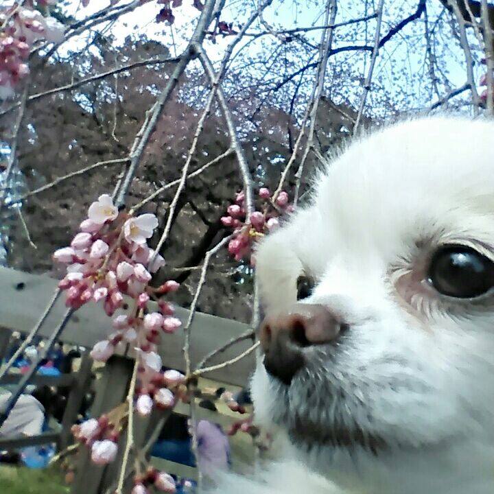 80297611 54dc 4c67 baa3 89312f4828cd