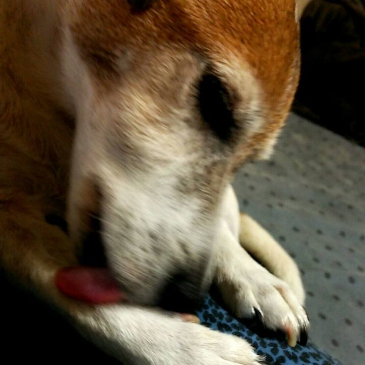 8029a4e3 1c7c 469d 9edb c00a9cf38cbb