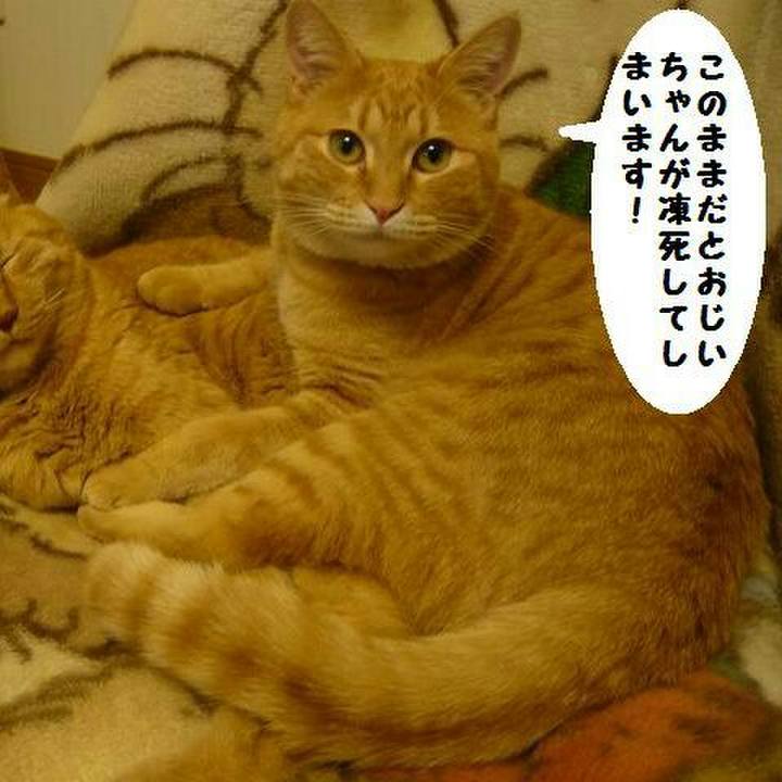 8029a89b eda8 4af7 9f8d 1a52445ec08a