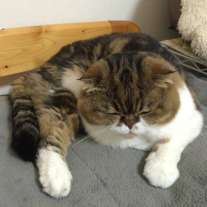 802b581d e654 4959 af78 ad6616a97735