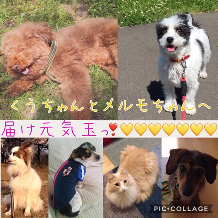 802b5c44 a7e6 4311 ae7f 53cc4e61cc42