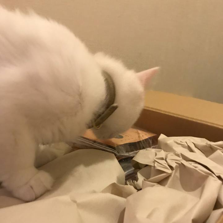 802c40c9 c176 4601 b390 ce0feb23891a