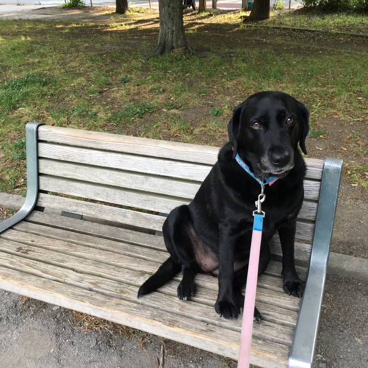 802c81cd f6c9 42c8 9ec3 f22fe1e3c13a