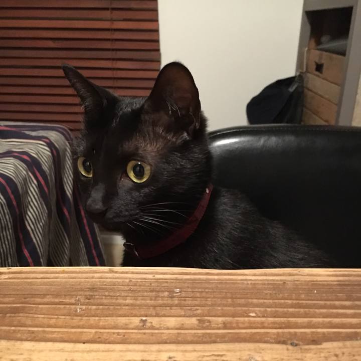 802cd13c 4408 4a25 871f d0a9806e5025