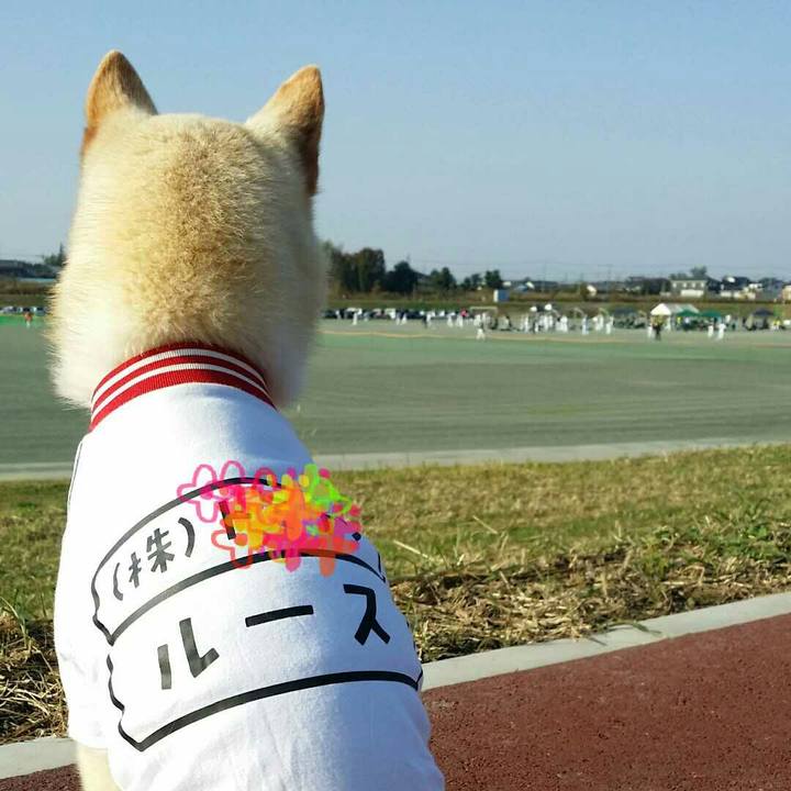 802eb864 4f52 43cd a9e5 58e00f793c98