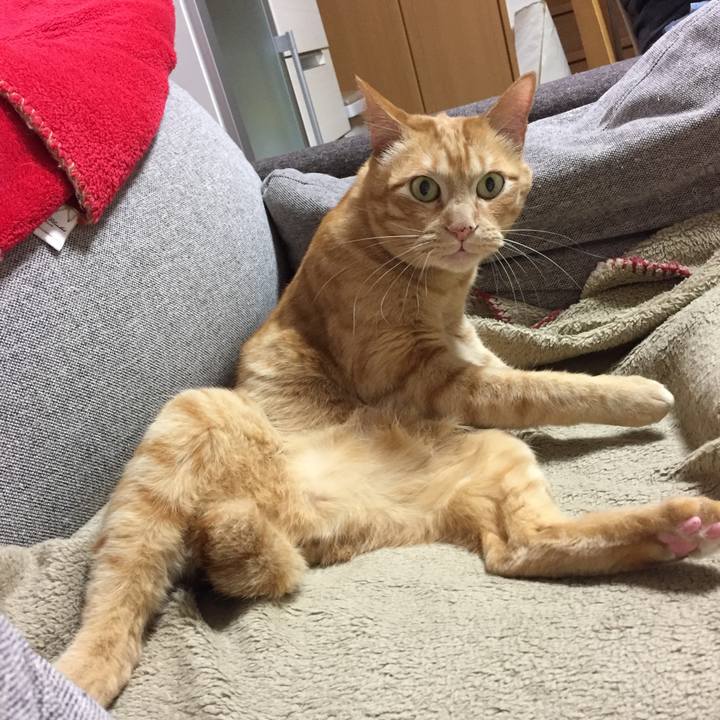 802f224a e1fc 492e 9e04 e48eda233d77