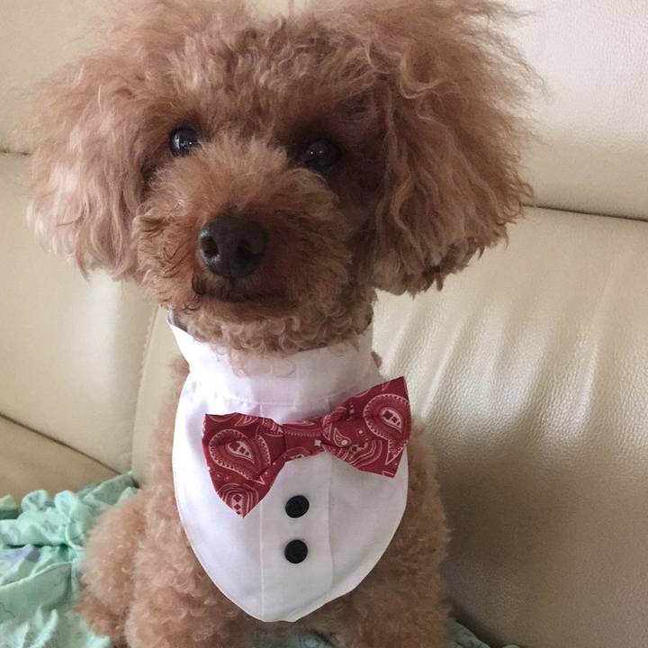 802fa2d9 63a1 44fb 9ea7 2a4c088e0eee