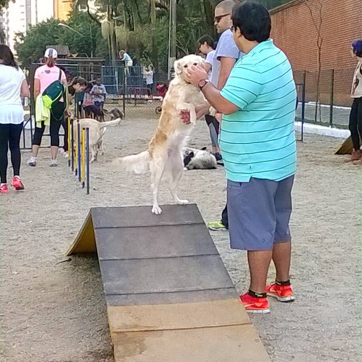 803039b1 a187 474a 92d6 491501012fe2