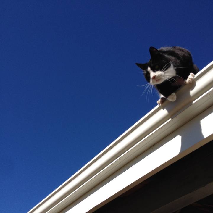 8030b289 a5fc 47ae 96a3 5e60c3c015a1