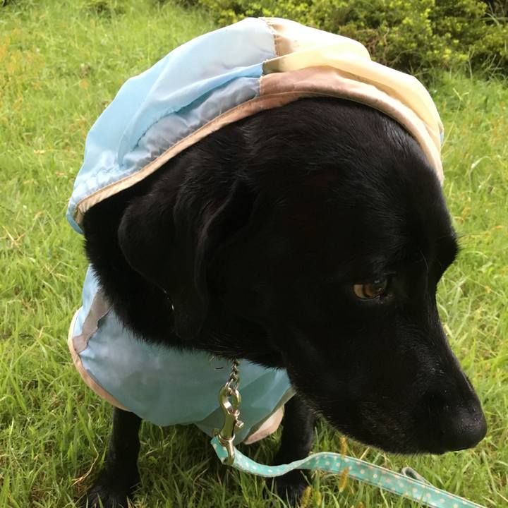 8030c0bb 0382 440e 8887 df79d006975a