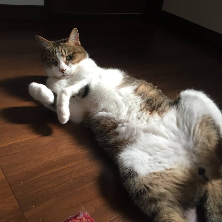 8030cab8 6a9e 4cad be61 0d2db322c069