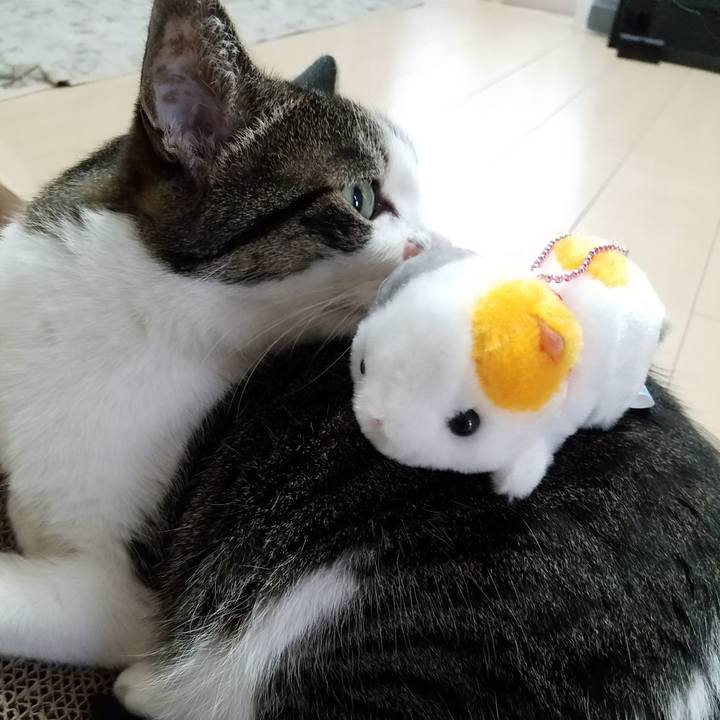 80317248 d5be 4f8c 8b36 0b2e0c105e79