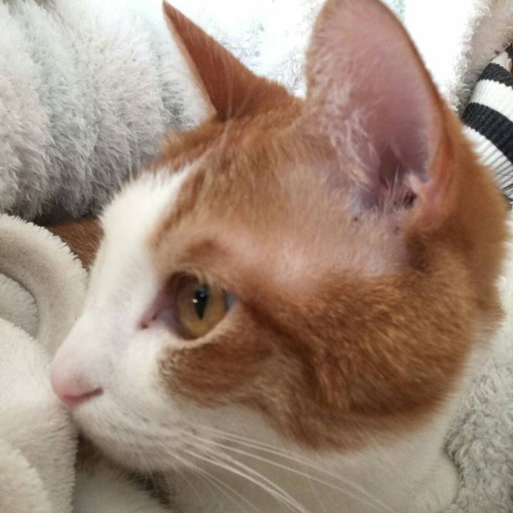 8031ebc8 c645 4ba3 880a d925d8a19898