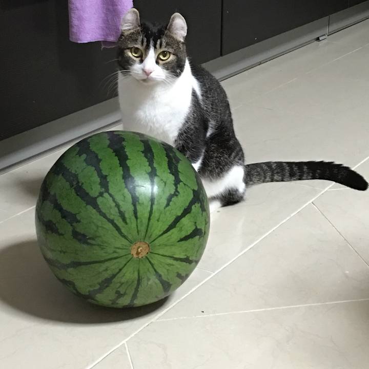 8032381f b353 4f07 947f 515a7cefacad