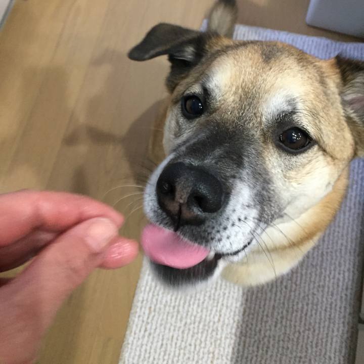 8032b4f1 7bd3 4d60 9f54 7f500f32bb0d