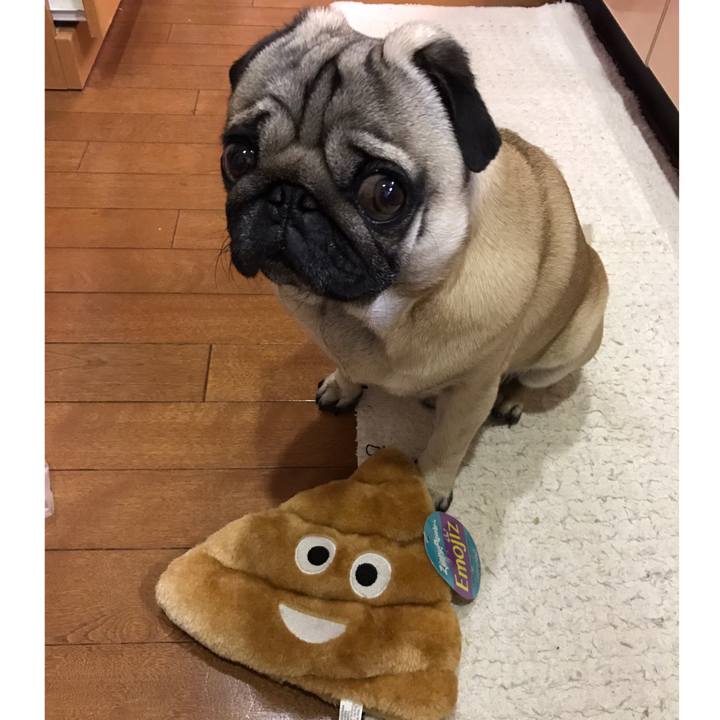 8032bd73 828b 4d49 ace3 a2894566765d