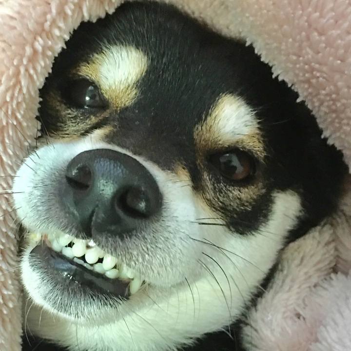 8032c9d8 f6f0 41c6 aa86 63720e783b95