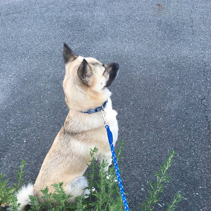 8033143b dd7b 4847 9469 4b4aa60daff8