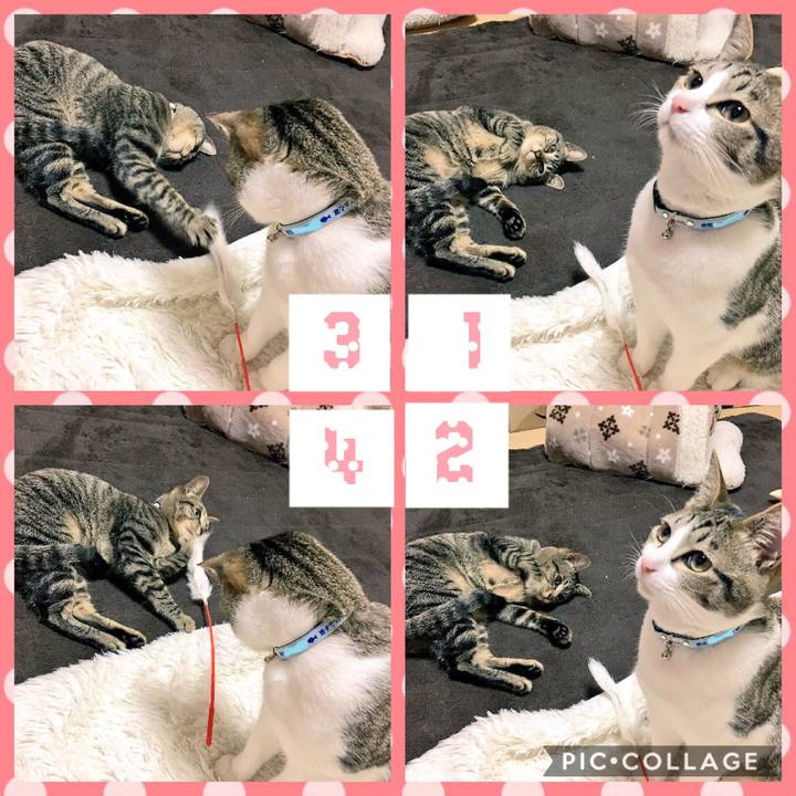 80333aa4 f338 48cb a8c7 286092b7c2f5