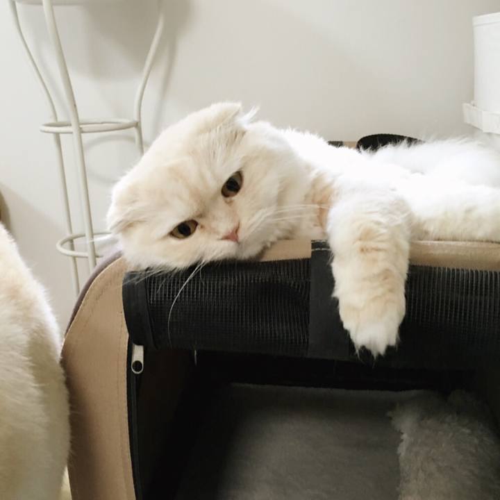 80334d97 2a7b 448f 91e4 e349481b3da6