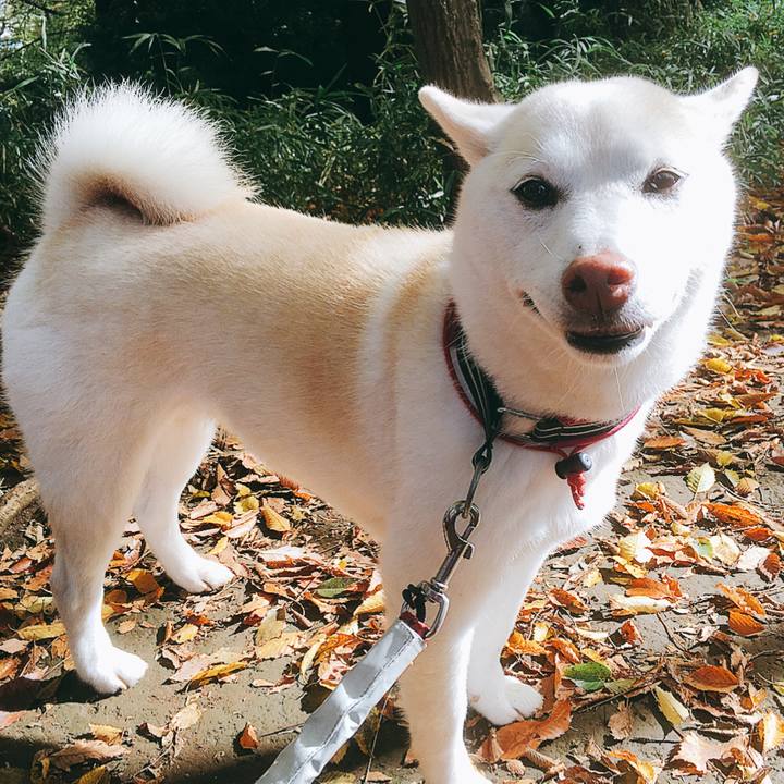 8033cd83 a61a 46e9 b44d 7a5732938f60