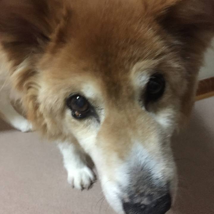 8034137c c21c 4a3d b420 c0b5a76b7efe